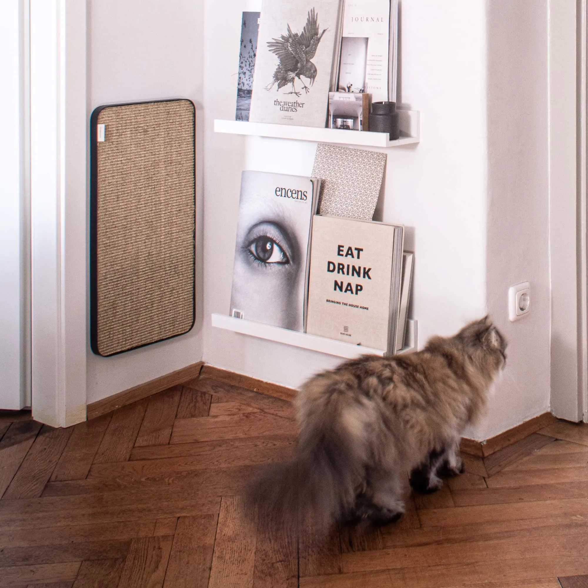Nachhaltiges Sisal-Kratzbrett für Katzen: Stilvoller Schutz der Möbel
