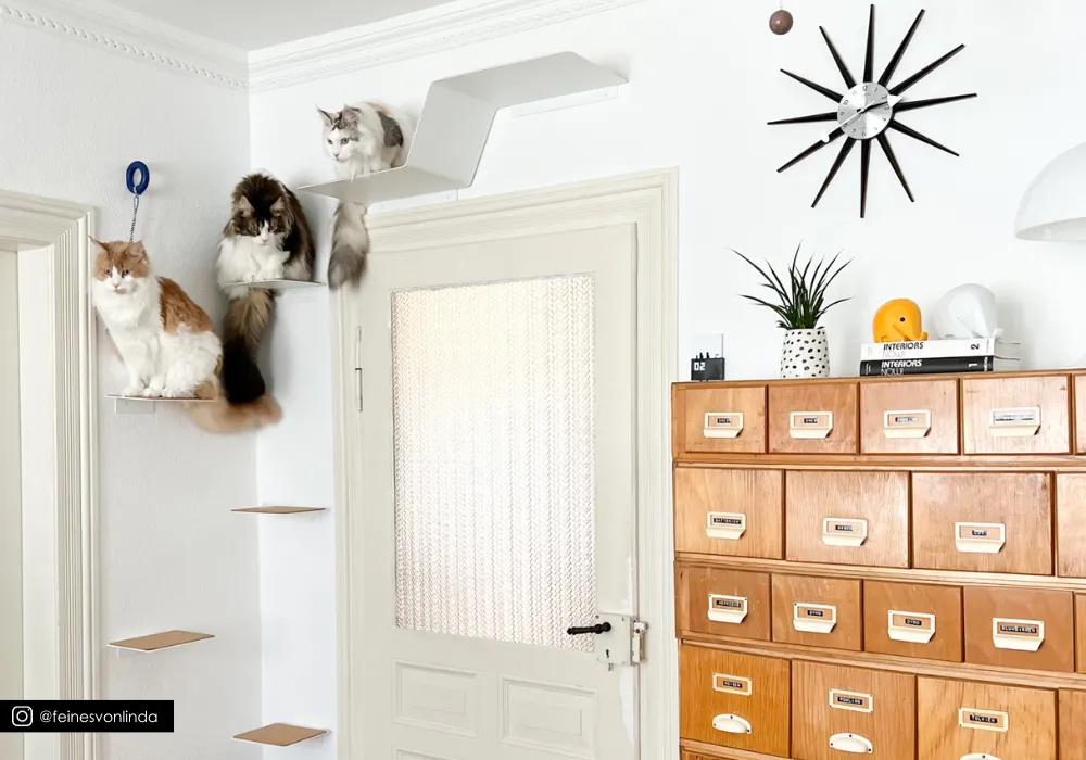 Nahaufnahme einer anthrazitfarbenen LucyBalu Katzentreppe mit Filzauflage im Detail, montiert an einer hellen Wand