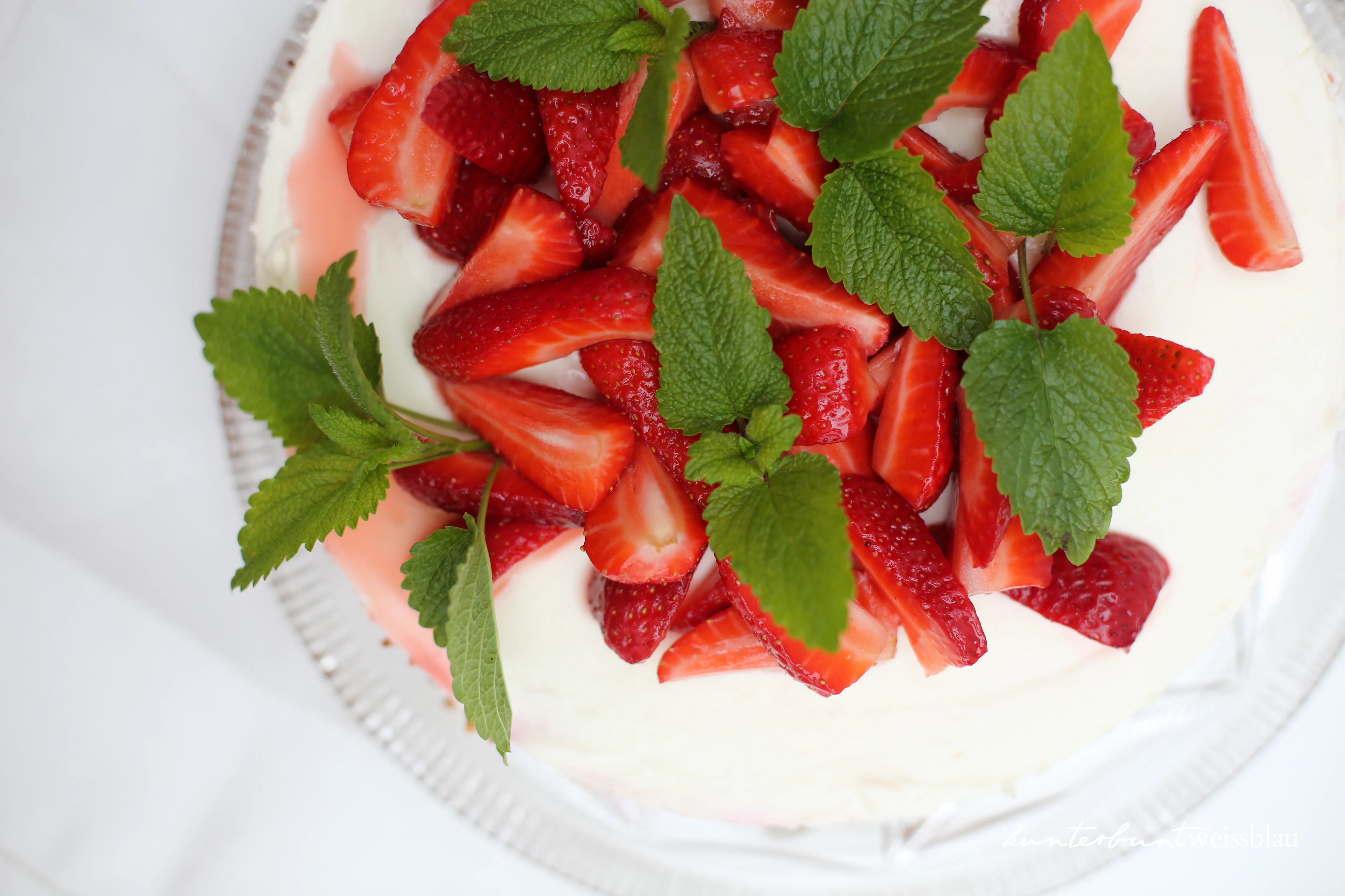 Nahaufnahme einer frühlingshaften Rhabarber Käse Sahne Torte mit frischen Erdbeeren und Minze, ideal für Familienfeste