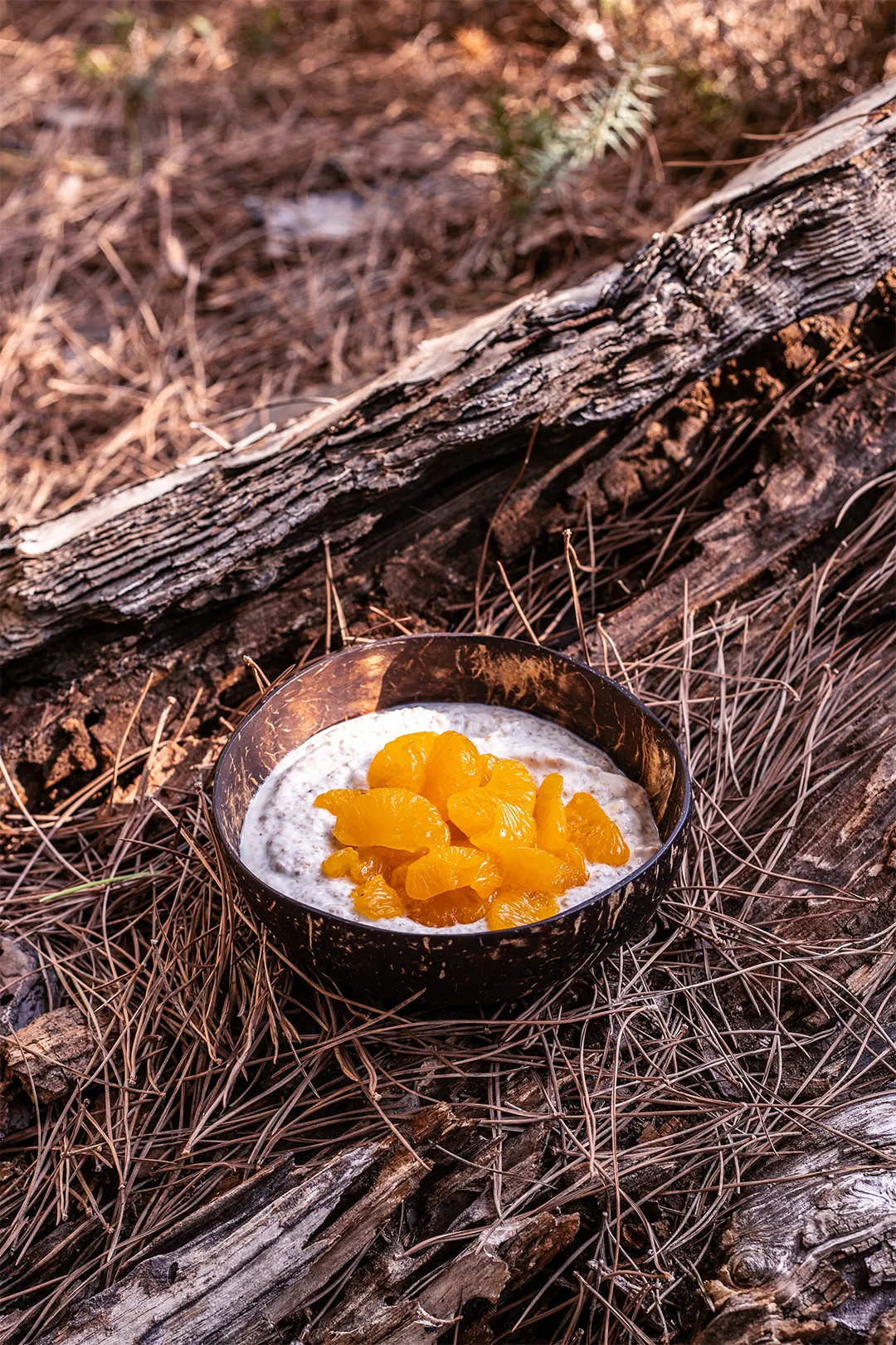 Nahaufnahme einer Schale mit gepufftem Amaranth und cremigem Pflanzenjoghurt, bereit zum Belegen