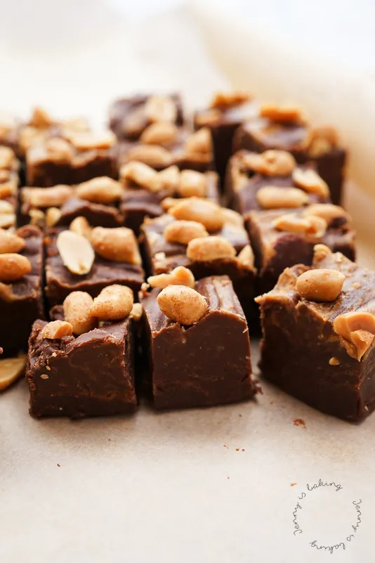 Nahaufnahme von cremigem Erdnussbutter-Fudge mit gesalzenen Erdnüssen und einem verlockenden Swirl, perfekt als süßes Geschenk.