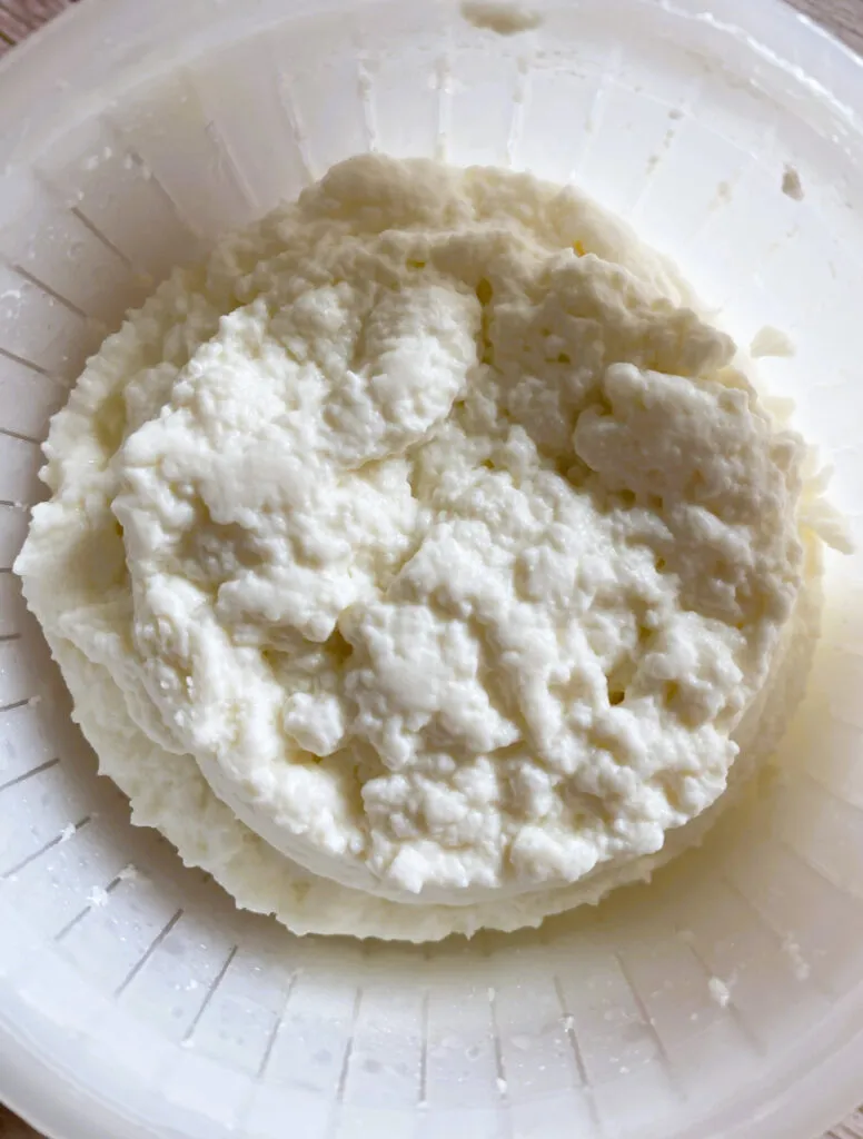 Nahaufnahme von frischer Ricotta-Füllung mit Spinat für hausgemachte Ravioli