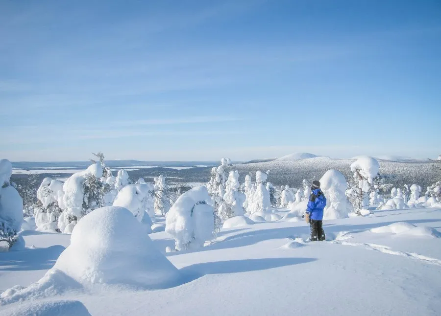 Nordlichter über verschneiter Landschaft in Lappland