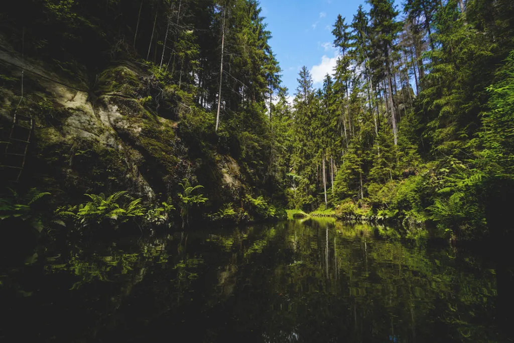 Obere-Schleuse-Kahnfahrt-Bootsfahrt-Kirnitzsch