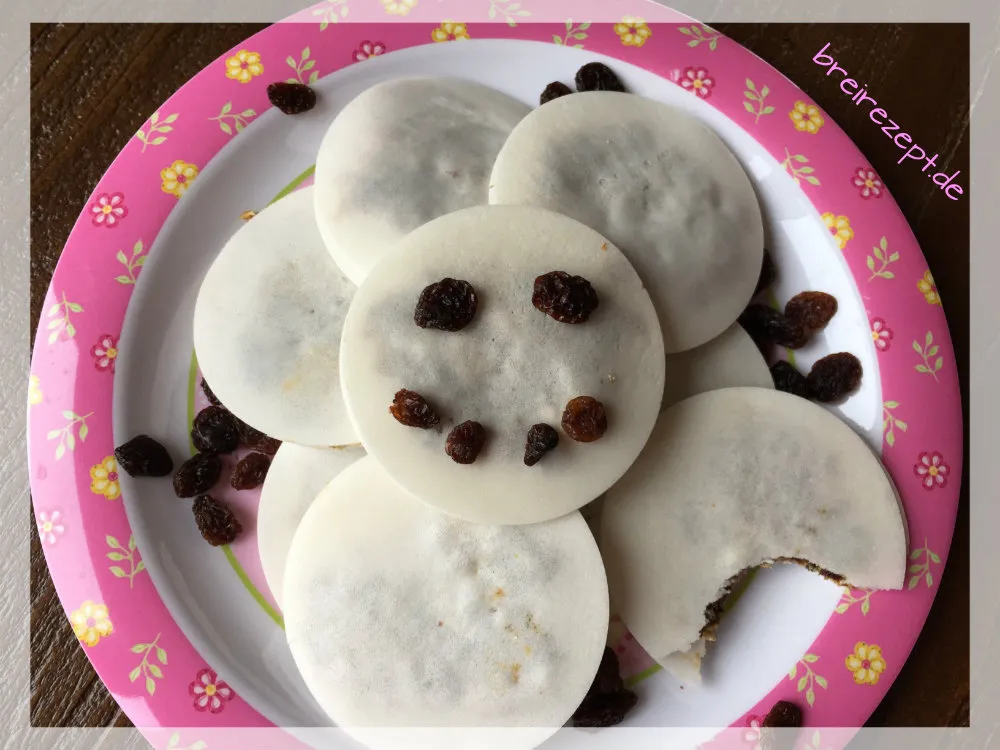 Obstriegel selber machen, gesunde und praktische Snacks für Babys
