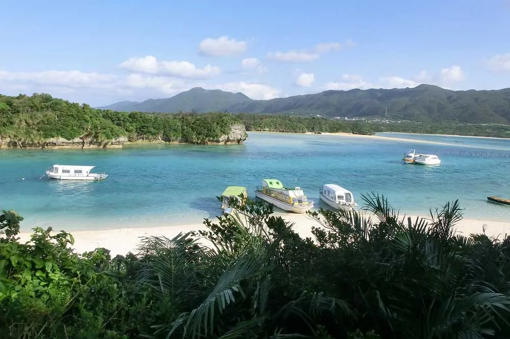 Palmenstrand und türkisfarbenes Wasser auf einer Insel Okinawas, Japan