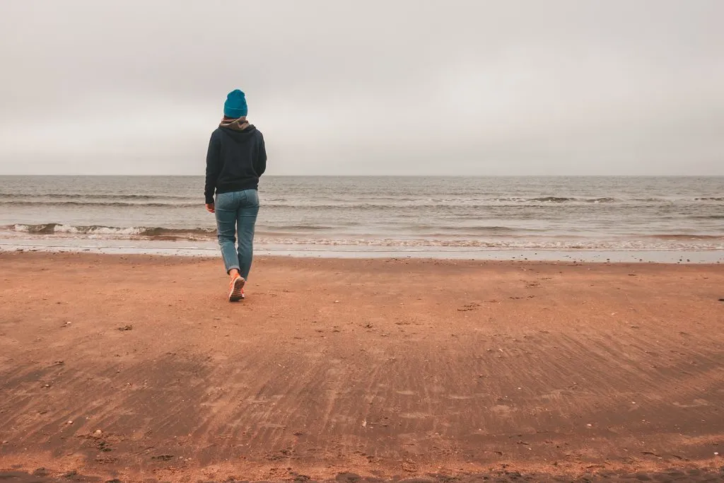 Panorama des Lakolk Strandes auf Rømø, mit Autos am Strand und Dünen im Hintergrund