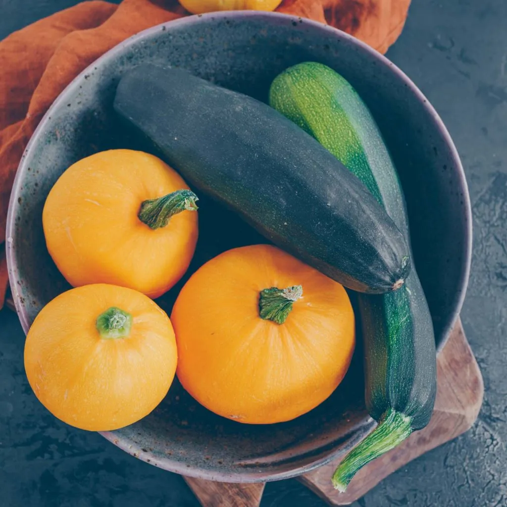 Panoramablick auf den produktiven Urban Garden mit vielfältiger Pflanzenpracht