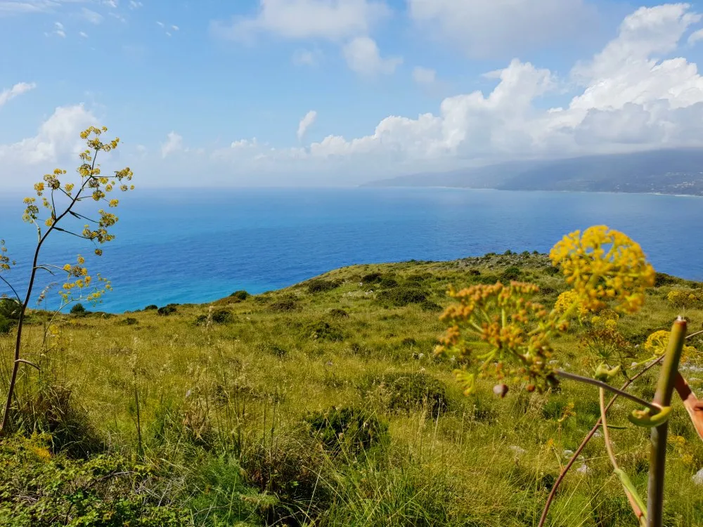 Panoramablick auf die Küste von Palinuro im Cilento, Süditalien