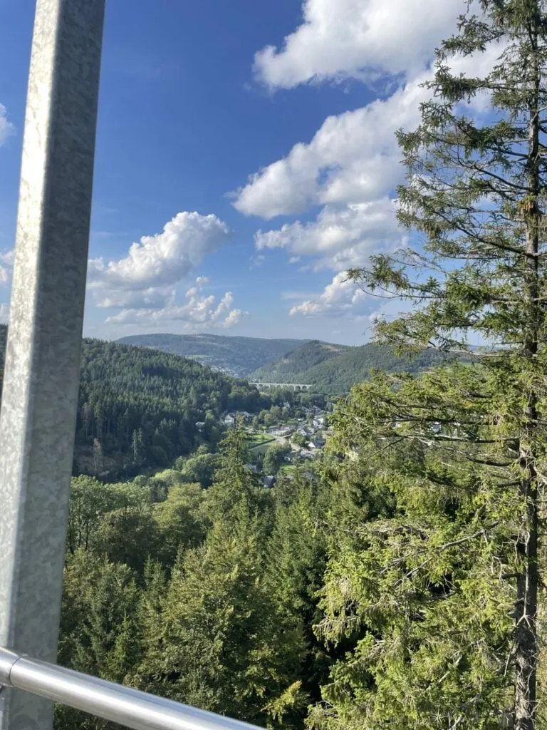 Panoramablick vom Skywalk Willingen