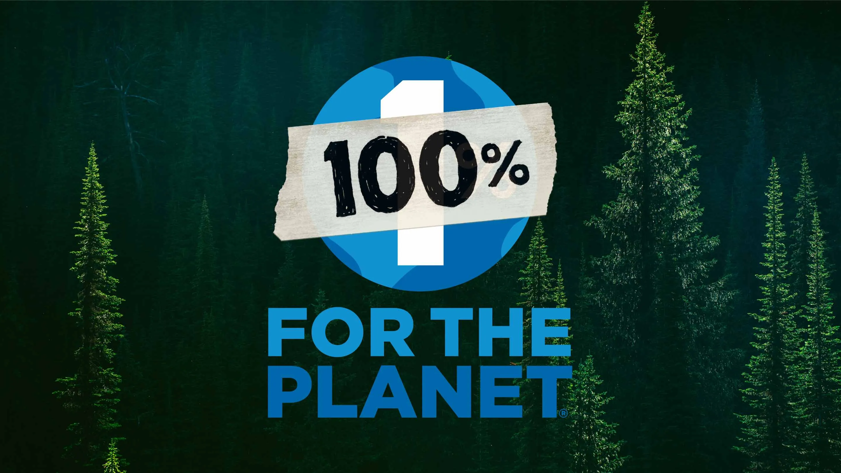 patagonia kampagne für die umwelt
