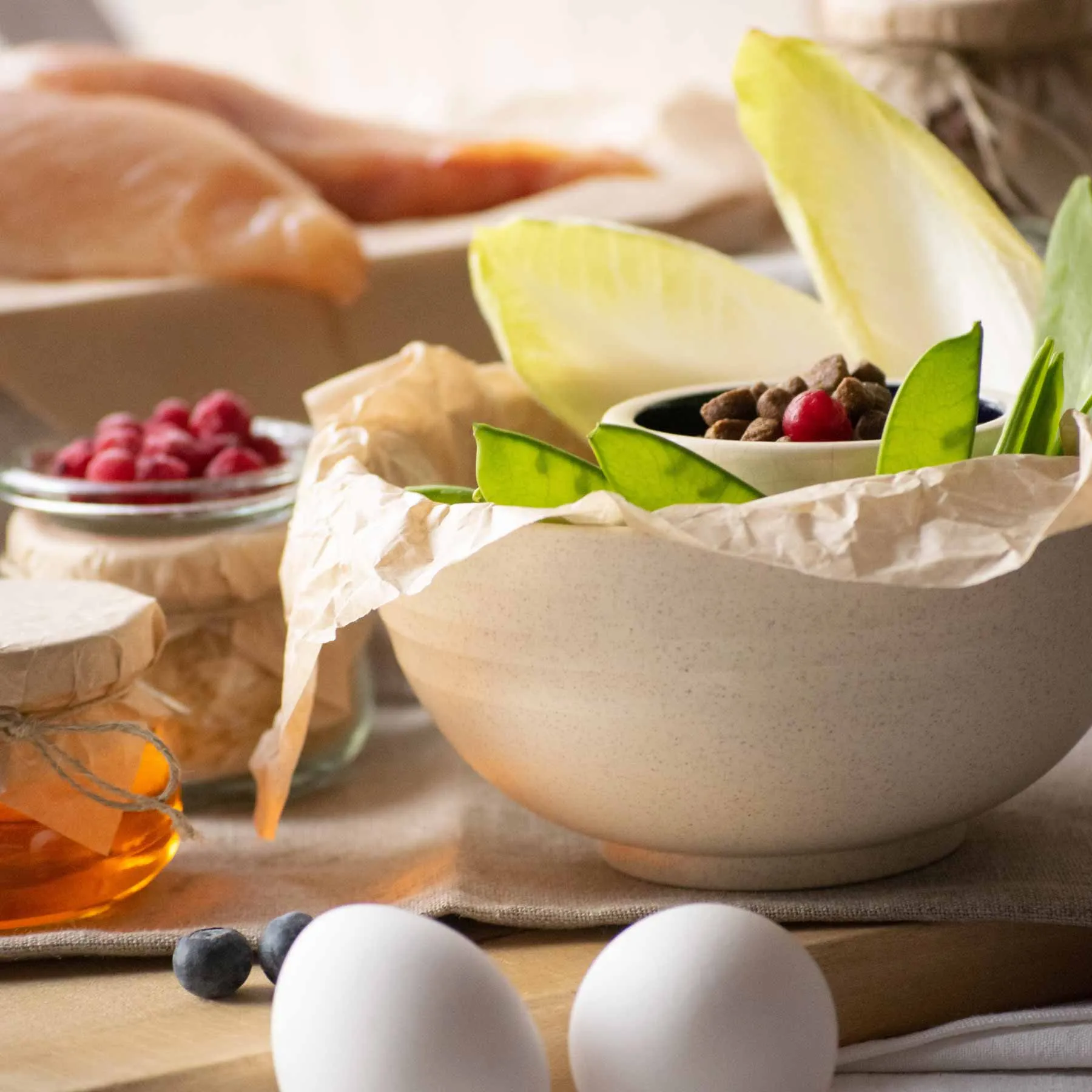 PERRO Cat Premium Rassekatze, ein ausgewogenes Trockenfutter für die tägliche Ernährung von Katzen