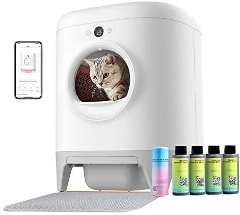 Petkit Pura X selbstreinigende Katzentoilette im Praxistest