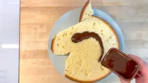 Pferdekopf-Kuchen mit glänzender Schokoglasur überzogen, bereit zur Dekoration