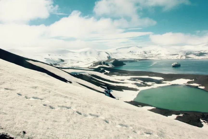 Pinguine in der Antarktis auf einer Eisscholle