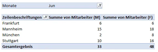 Pivottabelle für Mitarbeiterkennzahlen im Excel Dashboard nach Standort und Geschlecht
