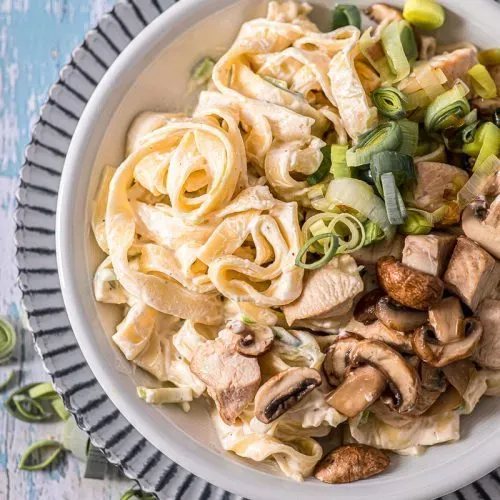 Portion cremiger Putenpasta mit Lauch und Pilzen, fertig zum Servieren in einer tiefen Schale