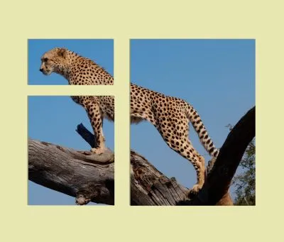 Poster im Wunschformat