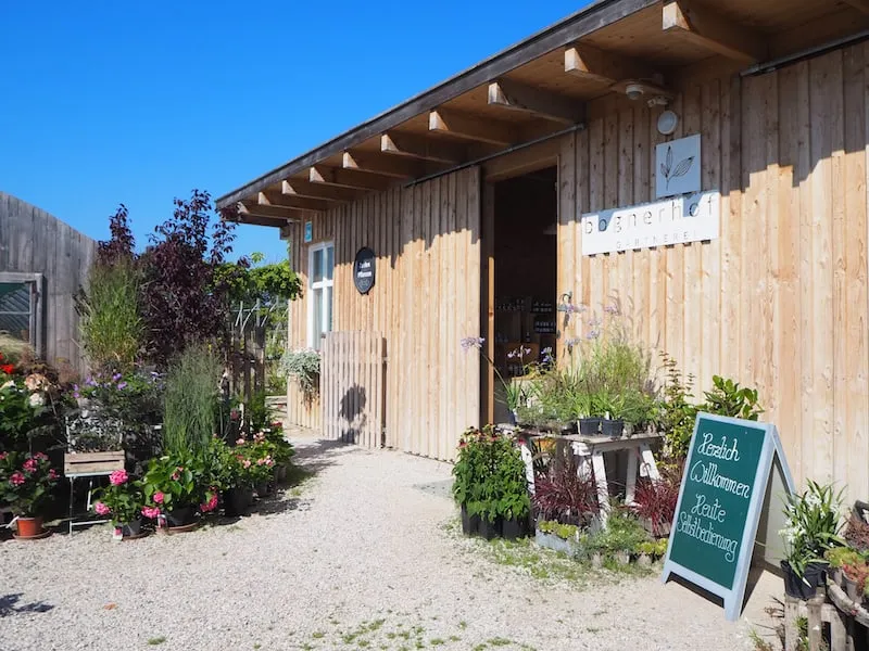 … praktisch: Wer möchte, kann sich gleich hier in der Gärtnerei mit entsprechenden Blumen, Pflanzen und Kräutern (die auch im Stiftsgarten wachsen) eindecken.