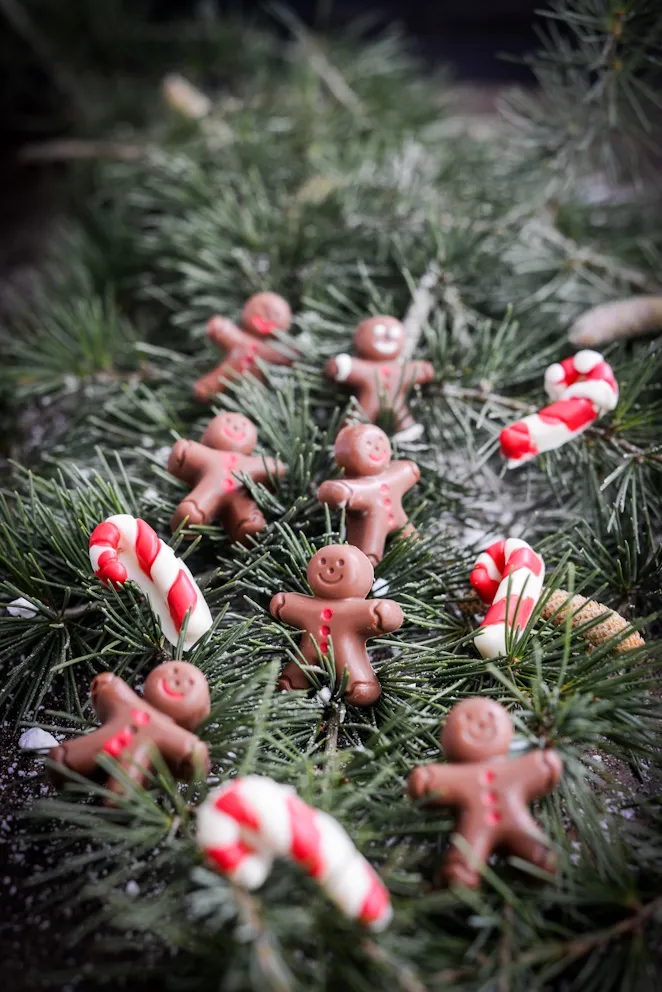 Pralinen Mit Tonkabohnen Selbermachen