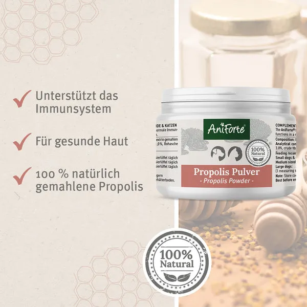 Propolis Pulver zur Stärkung des Immunsystems bei schneller Bauchatmung und Atemwegsproblemen