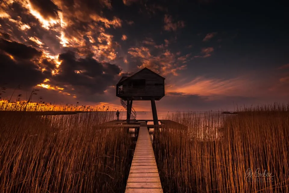 Rauchige Kochmettwürste, traditionell zu Insett Bohnen und anderen deutschen Eintöpfen serviert.