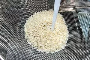 Reis in einem Sieb unter kaltem Wasser gründlich waschen vor dem Kochen