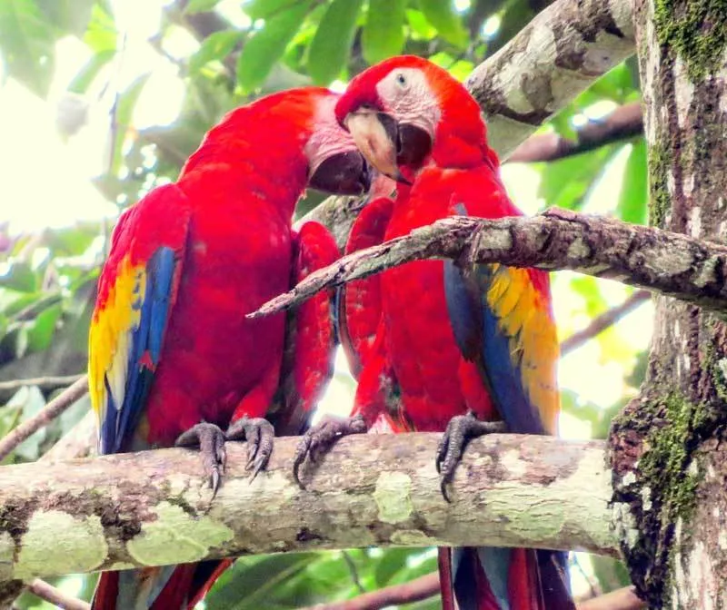 Reiseziele Juni Costa Rica