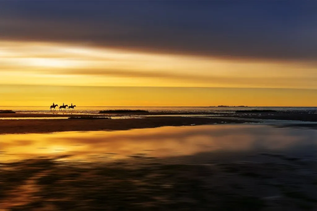 Reiturlaub an der Nordsee, Reiter im Wattenmeer