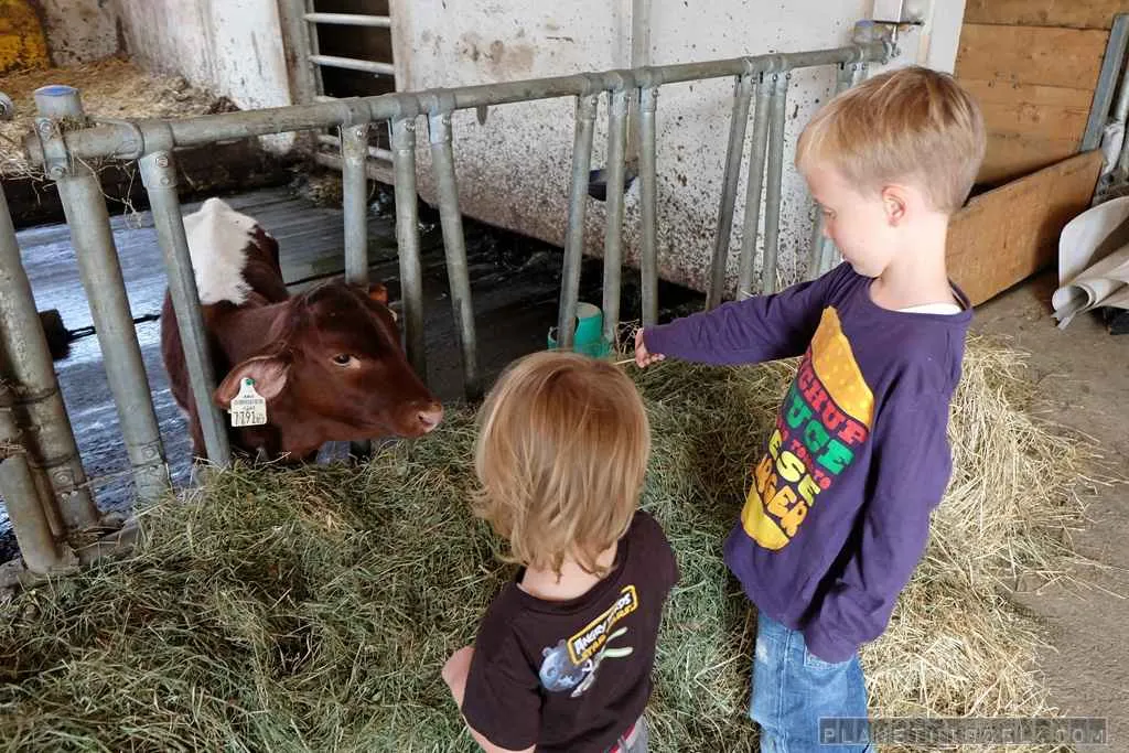 Restaurant im Familienhotel Furtherwirt mit reichhaltigem Buffet und kinderfreundlicher Ausstattung
