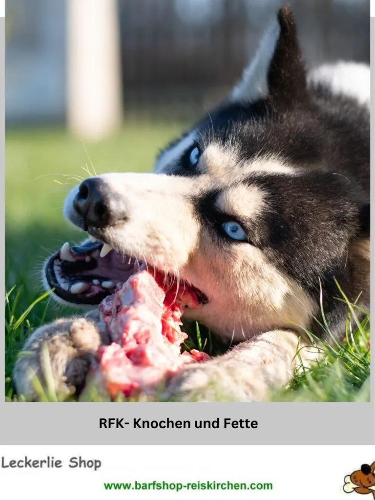 RFK-Knochen-und-Fette
