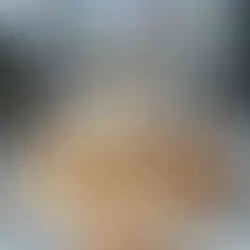 Rosa gebratene Barbarie-Entenbrust mit Karotten und Schwarzkohl – ein Hauptgang der Extraklasse im Clementine im Glashaus