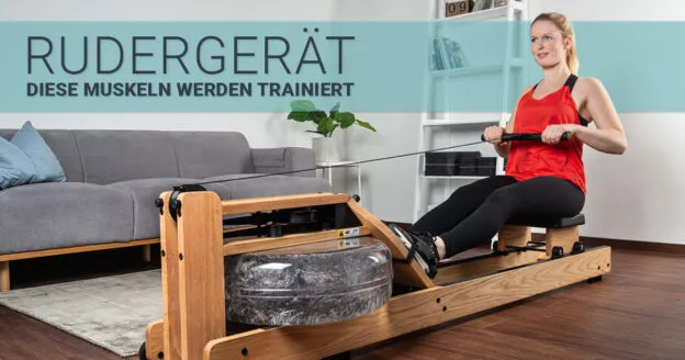 Rudergerät beanspruchte Muskulatur