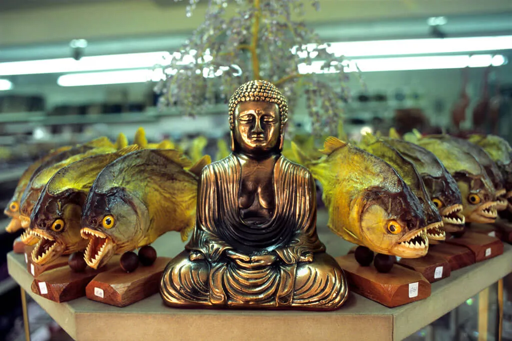 Ruhig bleiben und Tee trinken – Auslage in einem Souvenirshop des orientalischen Viertels