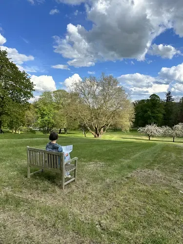 Ruhiger Parkblick von einer der vielen Bänke