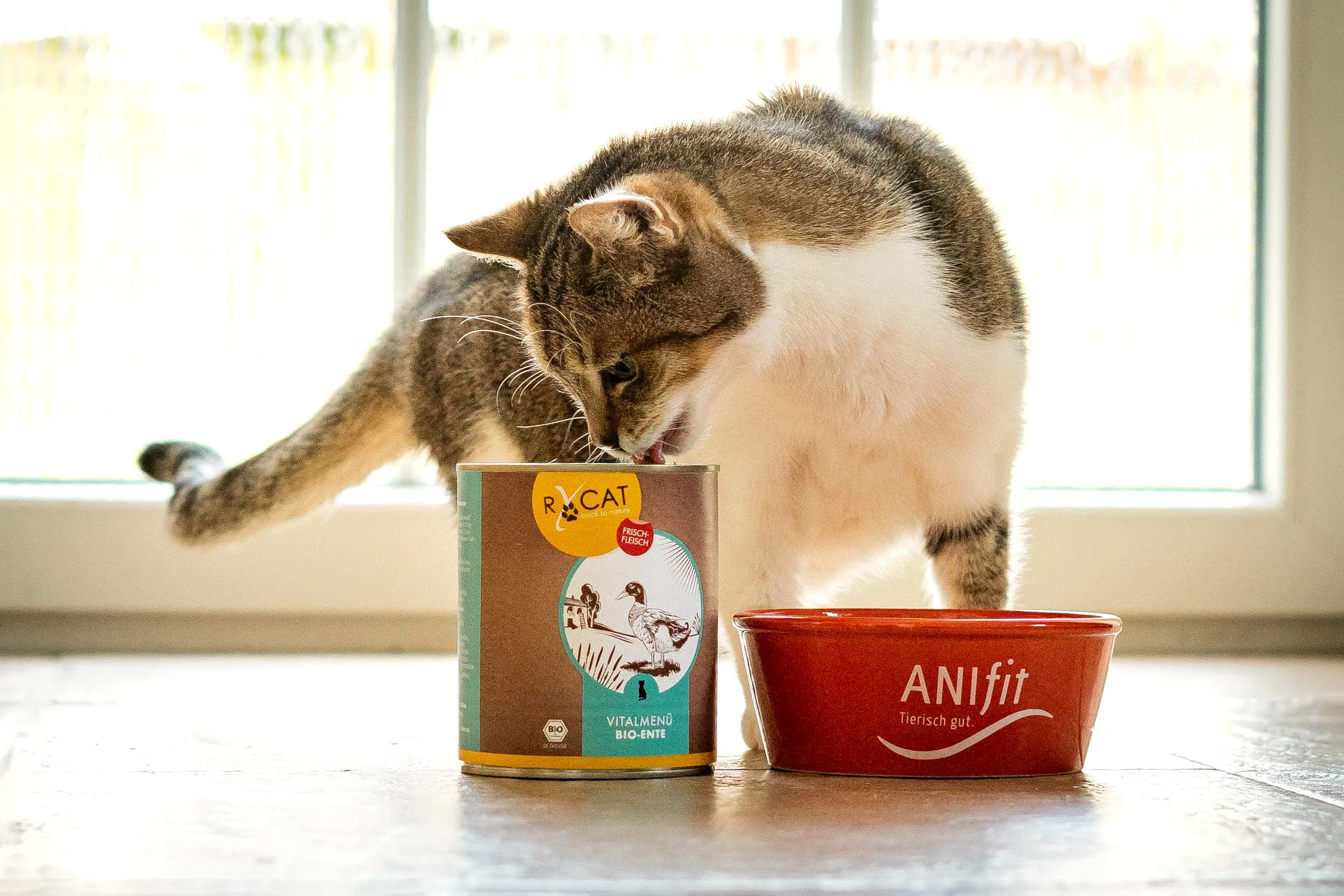 RyCat Bio Ente – Hochwertiges Katzenfutter mit hohem Fleischanteil für sensible Katzen