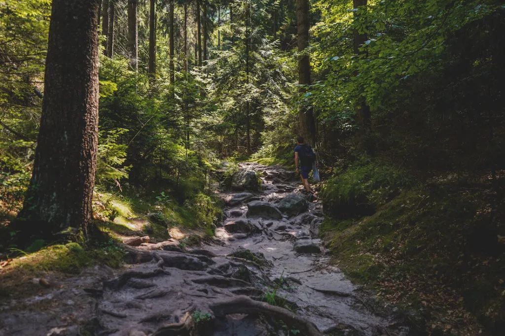 Saechsische-Schweiz-Wilde-Hoelle-Wanderungen