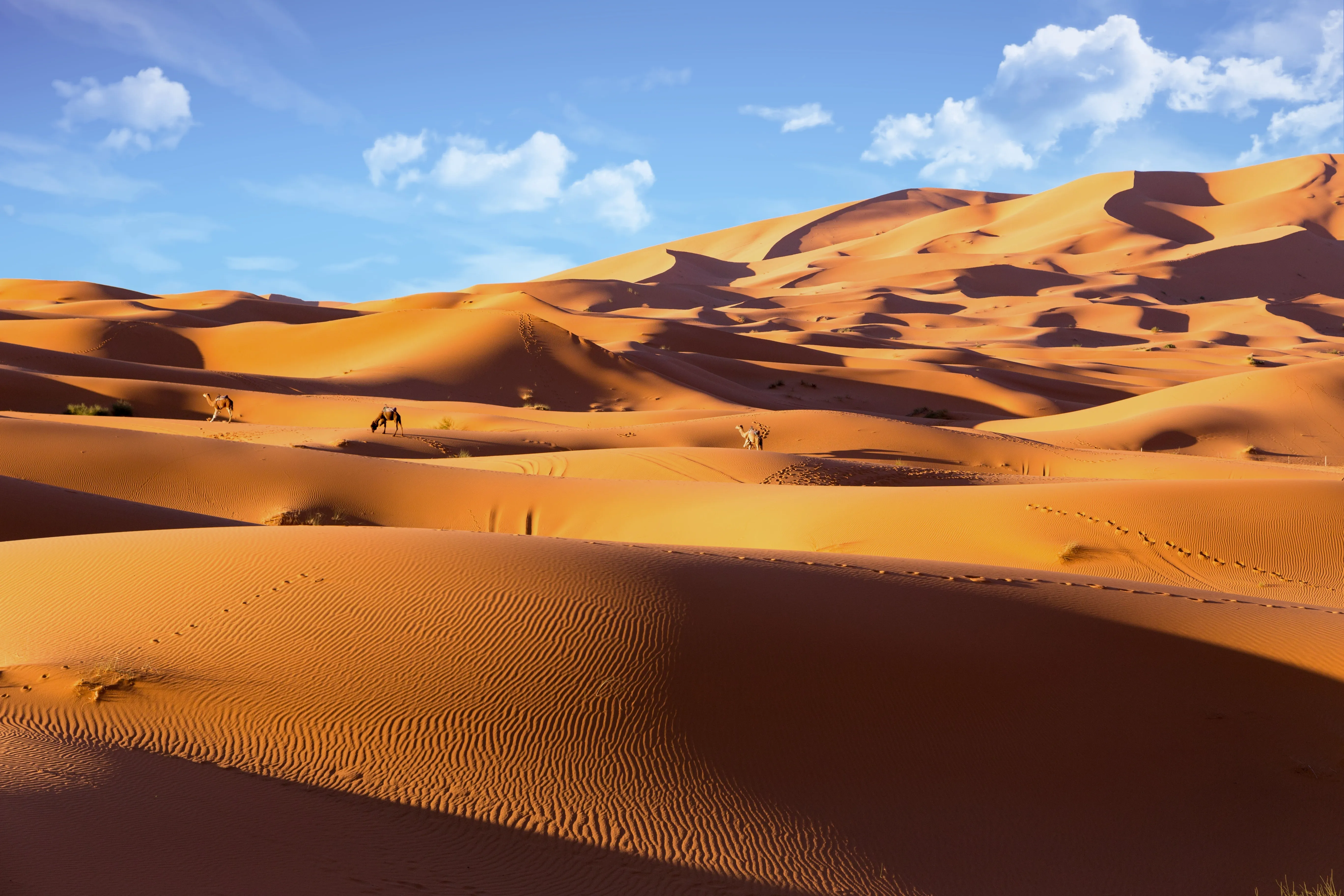 Sahara Erg Chebbi Dünenlandschaft Marokko