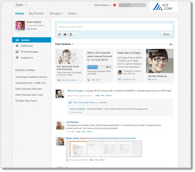 SAP Jam Interface Overview