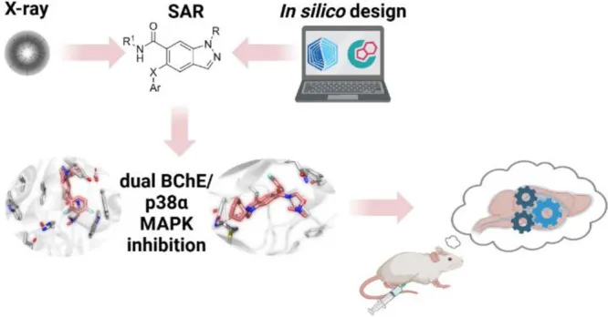 Schema der Wirkmechanismen von innovativen Dual-Inhibitoren, relevant für fortgeschrittene Svit Bildung Konzepte