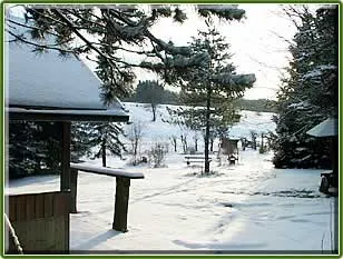 Schneebedeckte Bäume und Wege im Hotelpark Harz im Winter