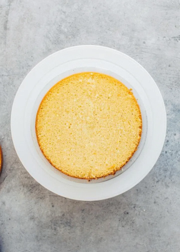 Schritt-für-Schritt-Anleitung zum Schichten der veganen Himbeer-Sahne-Torte mit Böden, Füllung und Creme