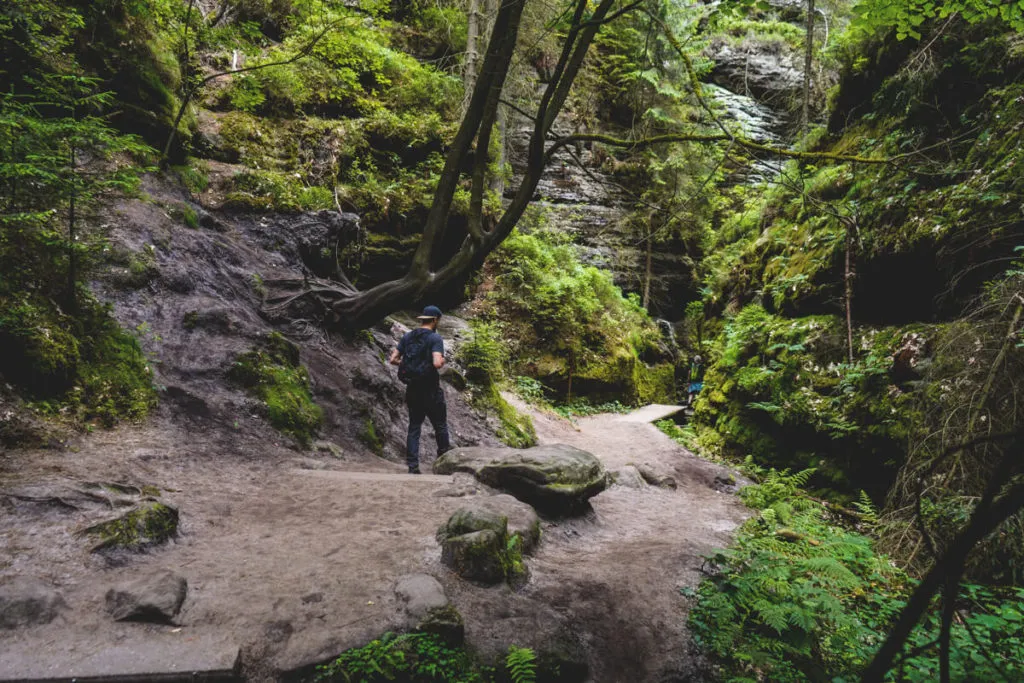 Schwedenlöcher Sächsische Schweiz Wanderweg 1