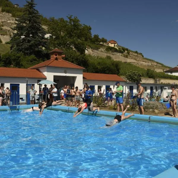 Schwimmer kämpfen um die beste Zeit