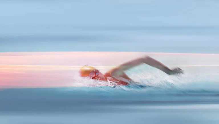Schwimmerinnen und Schwimmer im Becken bei der Schwimm-WM 2025, live im ZDF Livestream Sport
