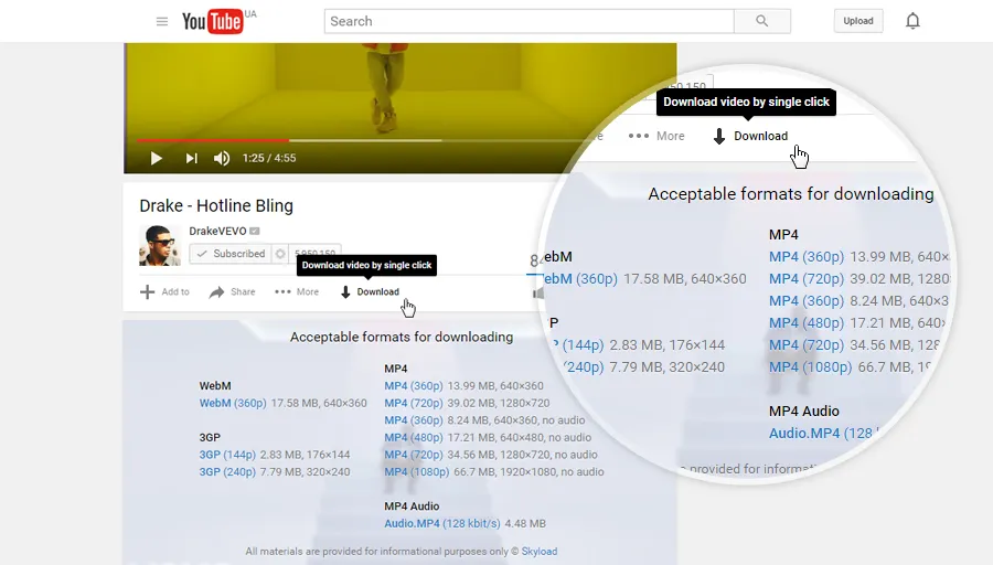 Screenshot: Skyload Download-Panel unter einem YouTube-Video in Google Chrome