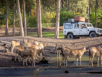 Serengeti-Park Hodenhagen: Afrikanisches Safari-Abenteuer im Familienurlaub