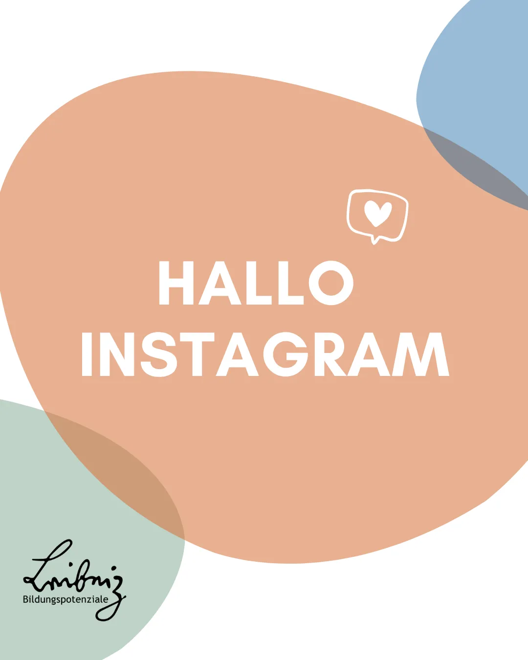 Smartphone-Bildschirm mit dem Instagram-Profil von Leibniz Bildung und Forschung