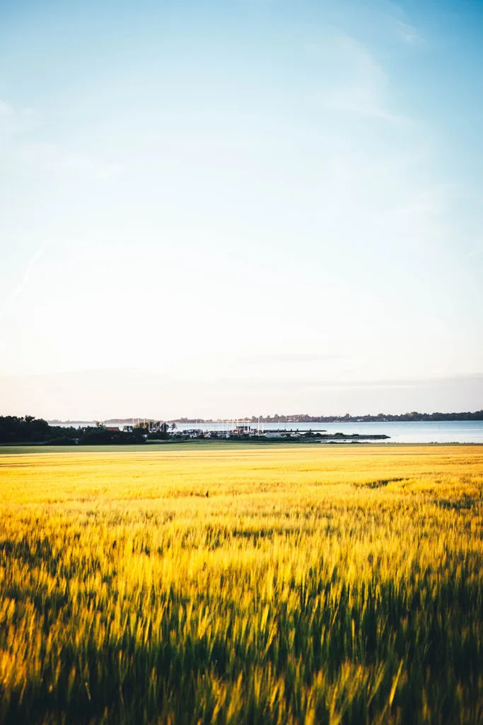 Sonnenuntergang an den Dodekalitten auf Lolland | moeyskitchen.com