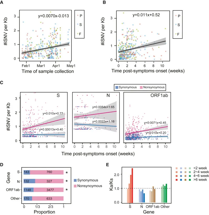 Spatiotemporale Analyse von iSNVs